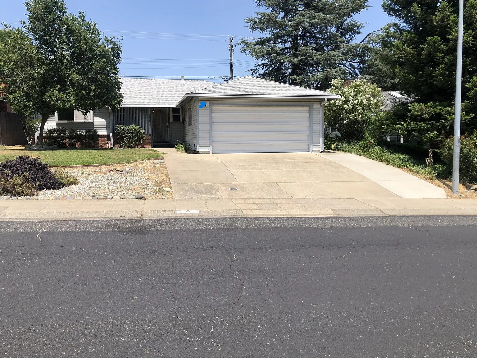 1125 Coloma Way photo 1