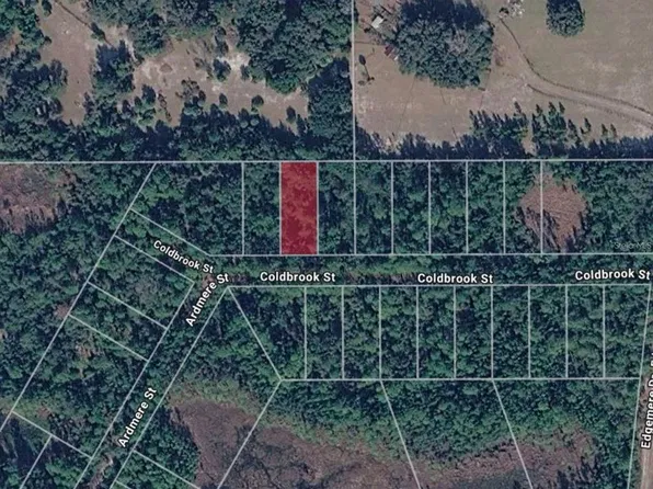 116 COLDBROOK STREET LOT 34, GEORGETOWN, FL 32139