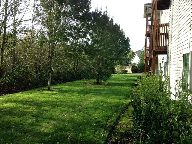 Vineyard Apartments — Photo 22