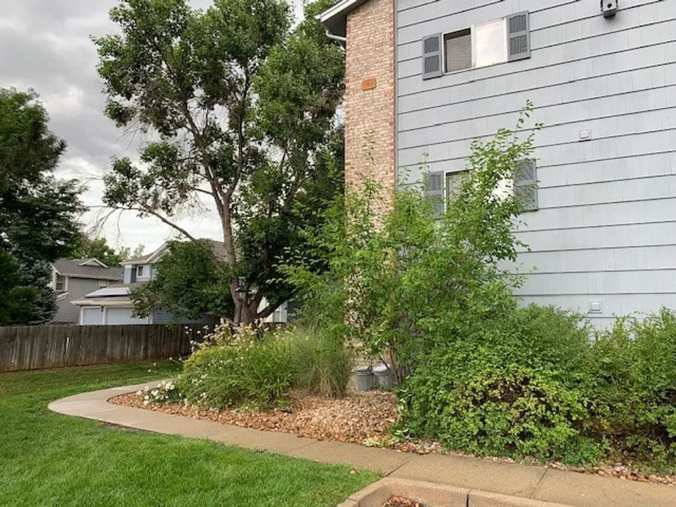 4654 White Rock Cir #8