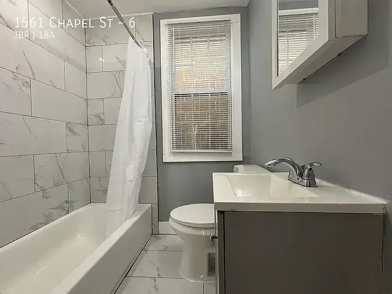 1561 Chapel St #6 — Photo 4