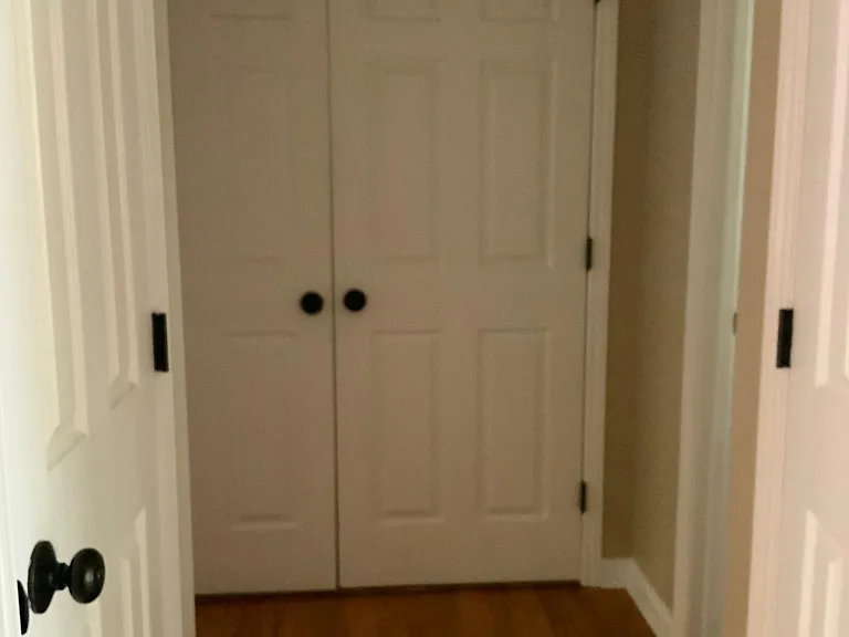 208 Antique Lace Way — Photo 5