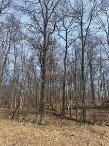 Tbd Delaware Trl, Breezy Pt, MN, 56472