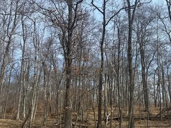 Tbd Delaware Trl, Breezy Pt, MN 56472