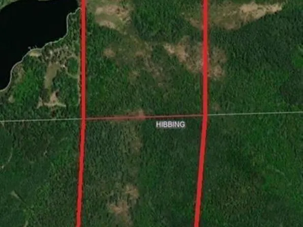 Tbd S Town Line Rd, Hibbing, MN 55746