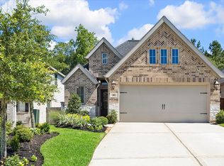 388 Rise Ln, Montgomery, TX 77316