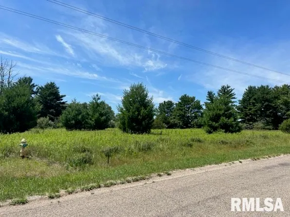 236 S Oak Run Dr, Dahinda, IL 61428