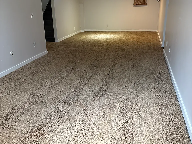 420 Dawnlee Ave — Photo 10
