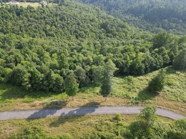 19 River Ridge Ln, Mount Nebo, WV 26679