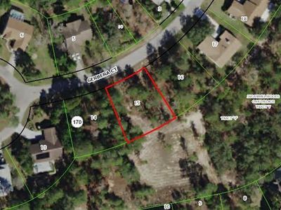 11 Gerbera Ct, Homosassa, FL, 34446