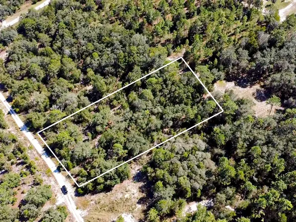 NE 50th Ln, Williston, FL 32696