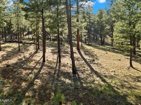 2161 N Cobblestone Cir, Flagstaff, AZ 86001