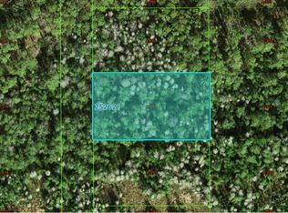 Commanwealth Ave N, Polk City, FL 33868