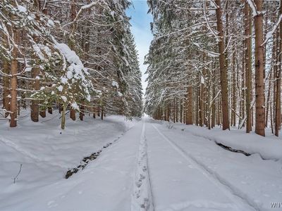 (Undisclosed Address), Great Valley, NY, 14741