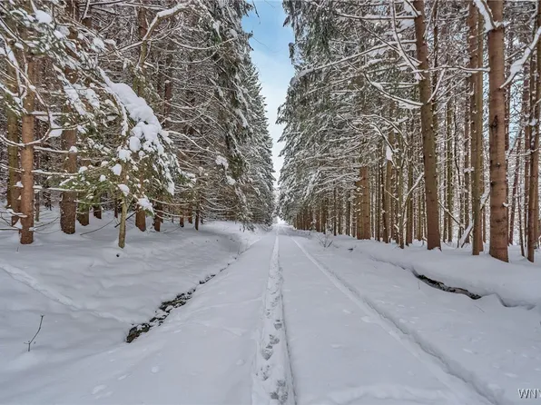 (undisclosed Address), Great Valley, NY 14741