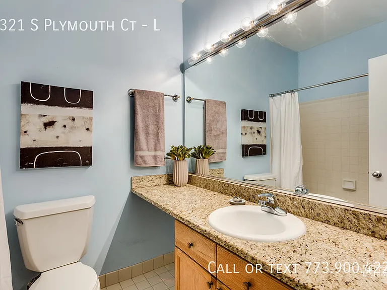 1321 S Plymouth Ct #L — Photo 7