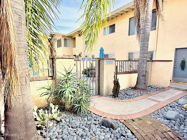 Rock garden with palm trees