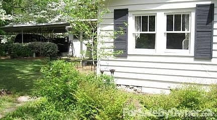 View from immediate backyard/south