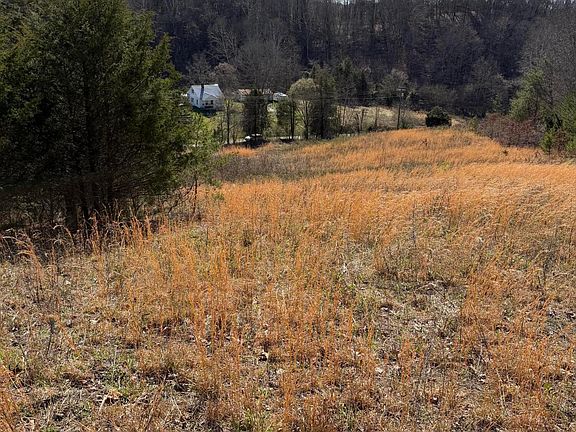 4th image of Shanks Gap Rd