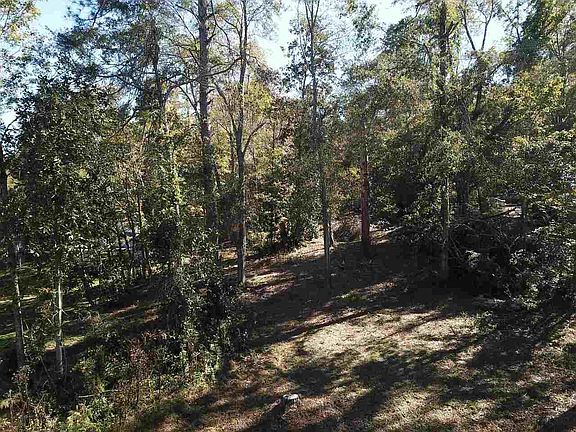 3rd image of 0 Maple St