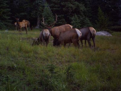 Cataract Creek Rd, Basin, MT, 59631