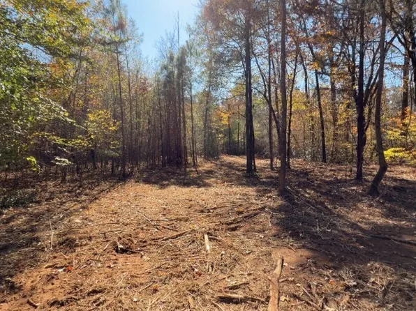 TRACT Russellville Rd #A, Forsyth, GA 31029