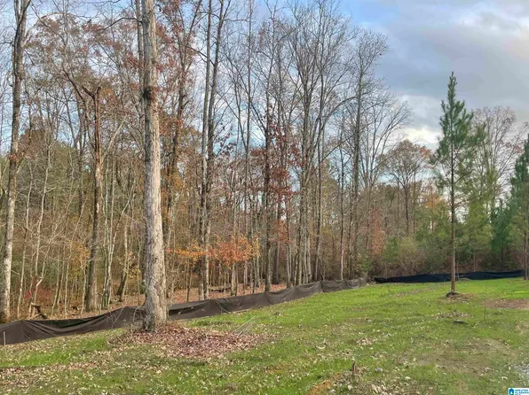 472 Saddlewood Cv #2, Columbiana, AL 35051