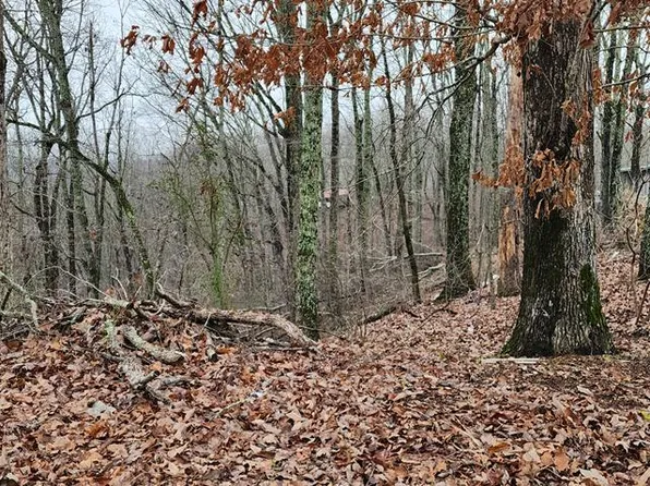 Id28 Mary Ave, Holladay, TN 38341