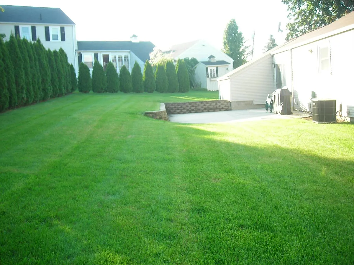 2 bed, 1200 sqft, $2,495 — Photo 4