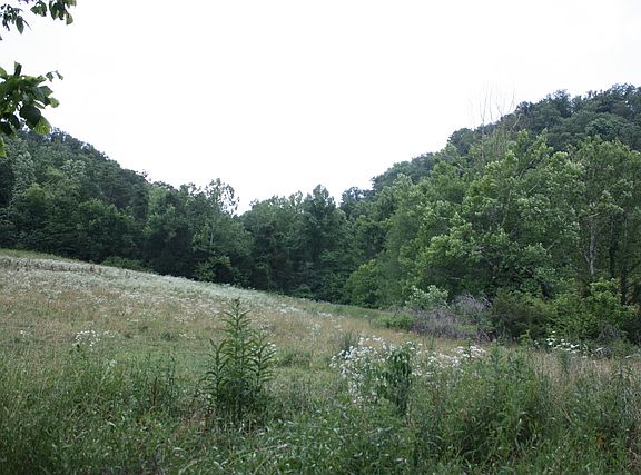 4th image of 260 Riverview Dr