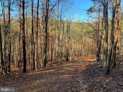 80 Bluffs Spring Holw, Springfield, WV, 26763