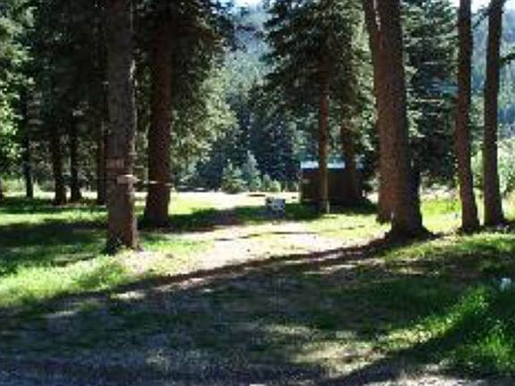 2nd image of 685 Mushroom Ln