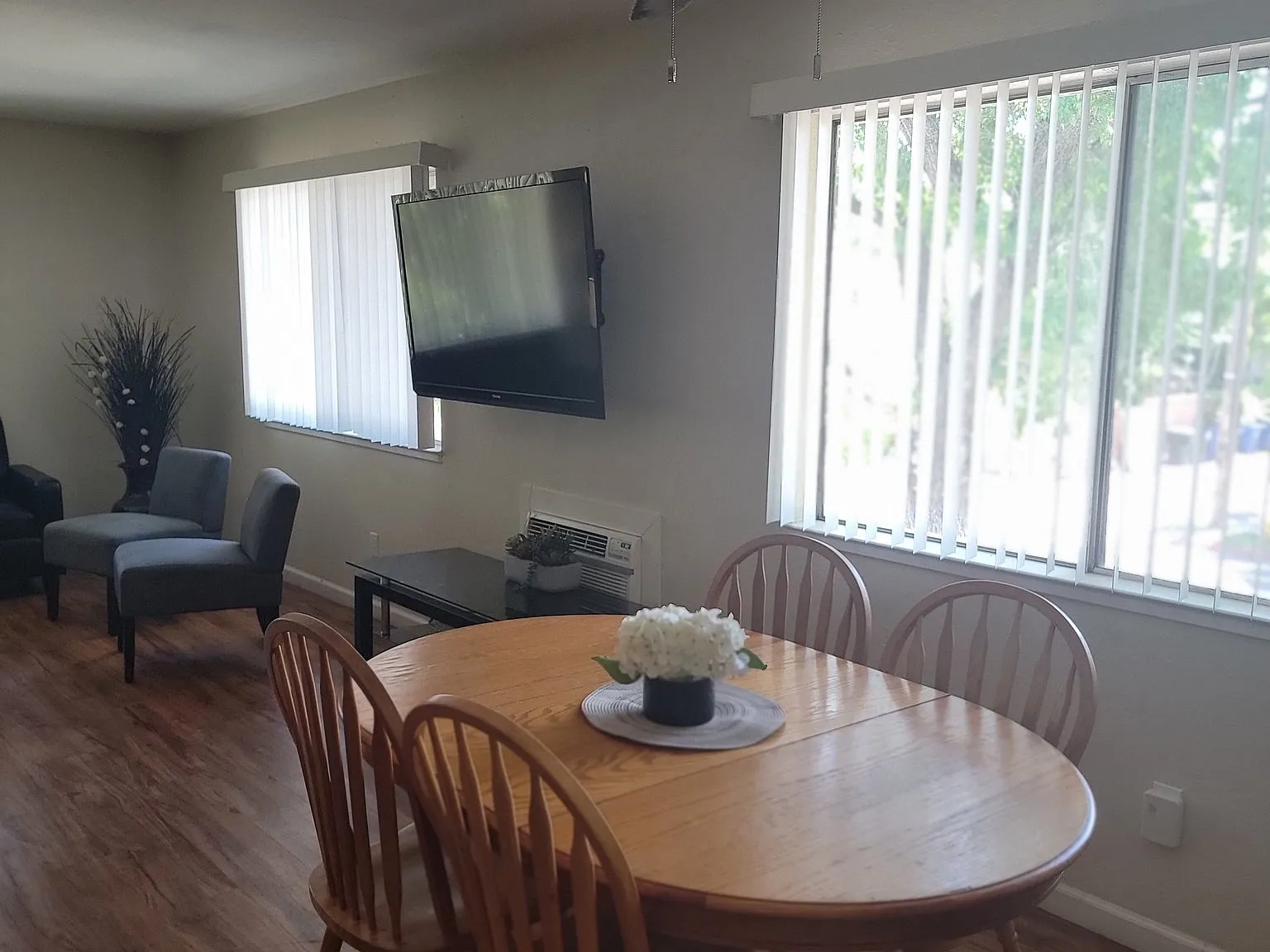 Fully Furnished 1BR/1BA Apartment — Photo 4