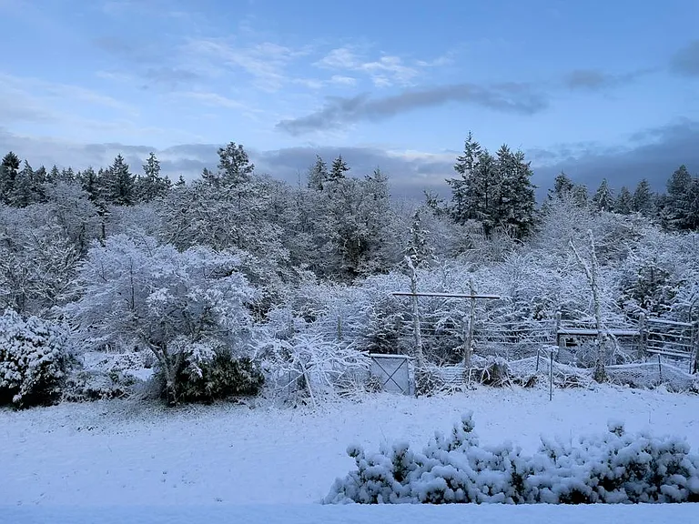 Winter view from back deck.