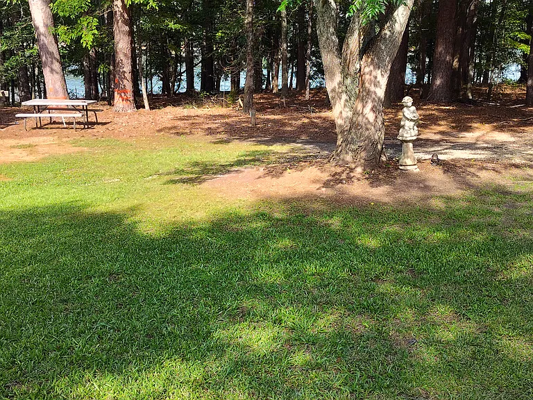 330 McClain Dr — Photo 62