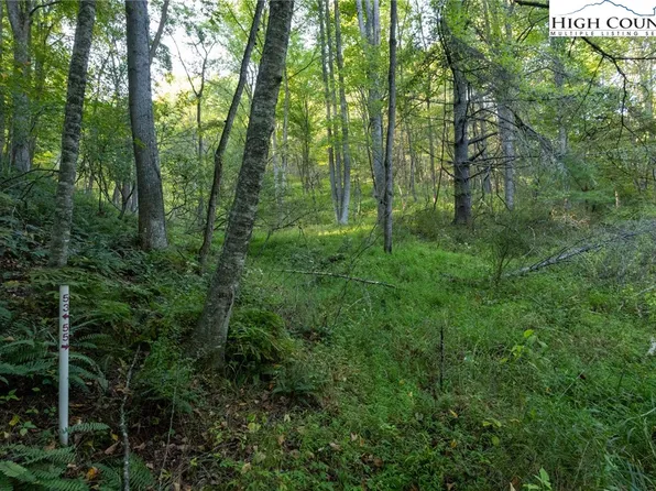 TBD Legra Road #55, Grassy Creek, NC 28631