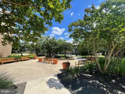 60 S Van Dorn St APT 107, Alexandria, VA, 22304