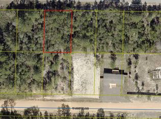 10 W Dogwood Ave, Defuniak Springs, FL 32433