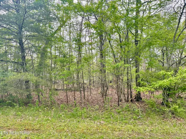 111 Rutgers Cir, Fairfield Glade, TN 38558