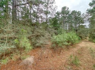 E Indian Trl, Hempstead, TX 77445