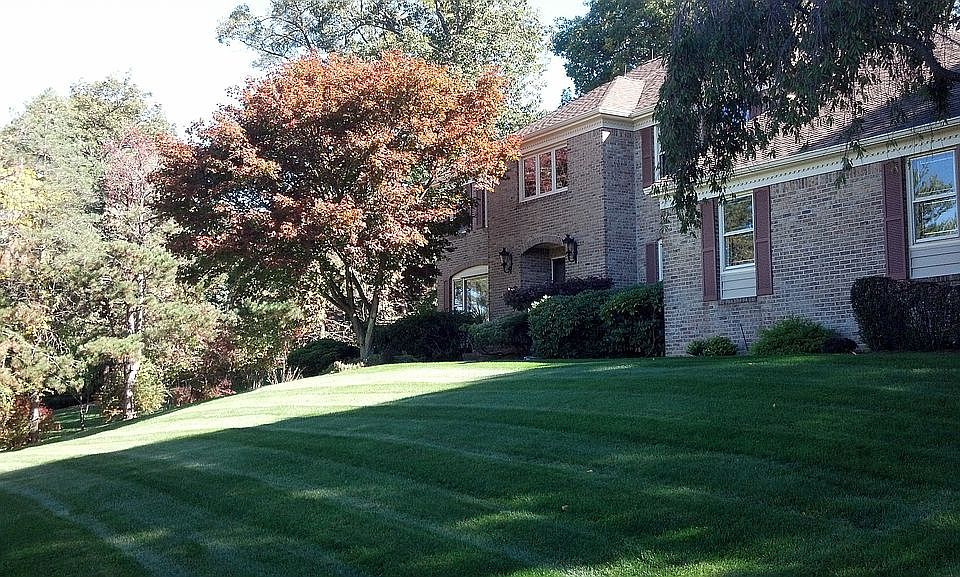 Majestic Colonial
