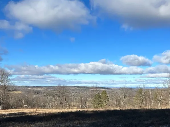 297 Scofield Rd, Sharon, NY 13459