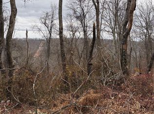 Pcl 19 Section 9 Dehaven Rd, Capon Bridge, WV 26711