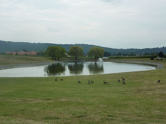 Community pond