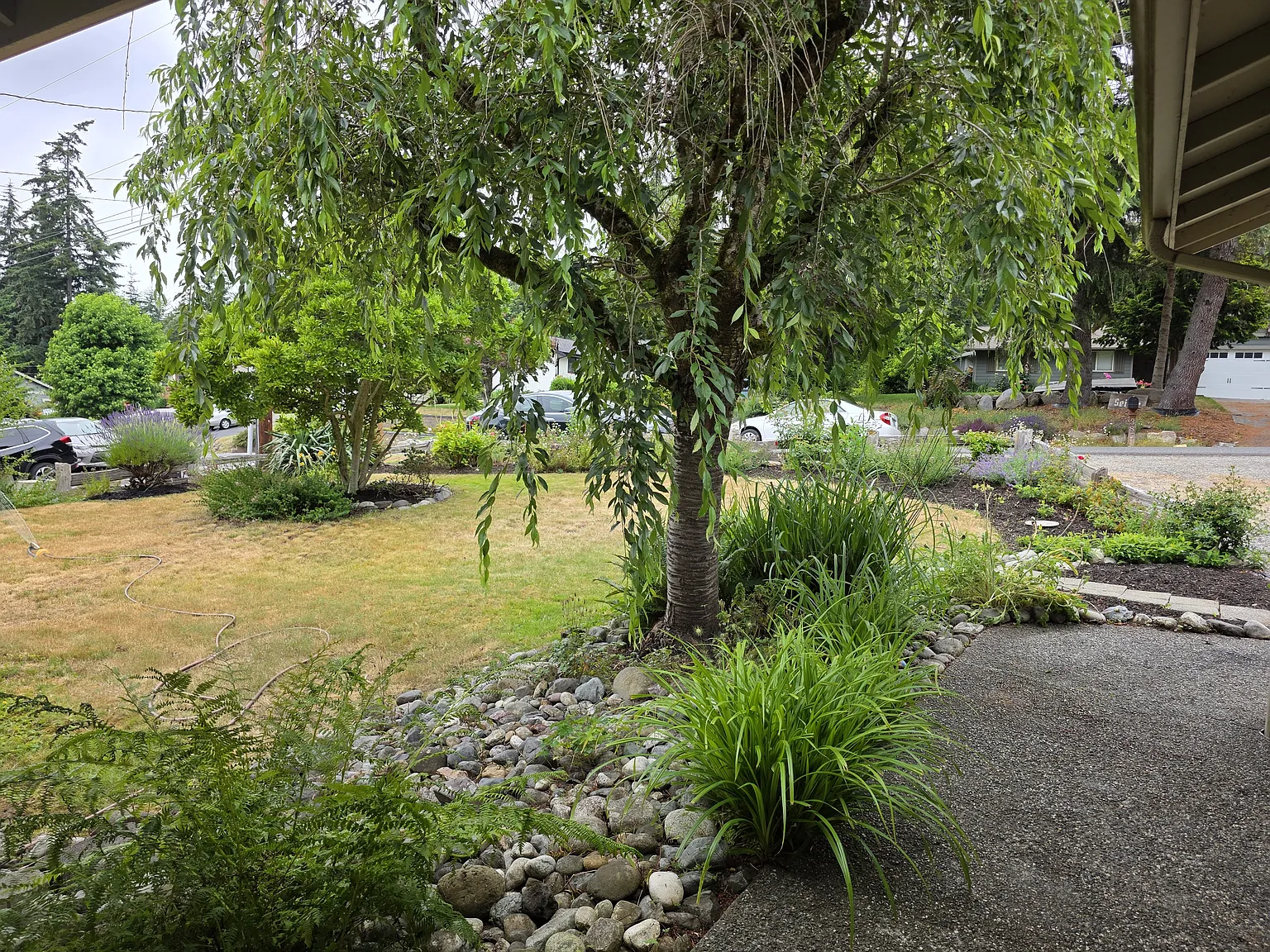 2 bed, 2356 sqft, $2,595 — Photo 2