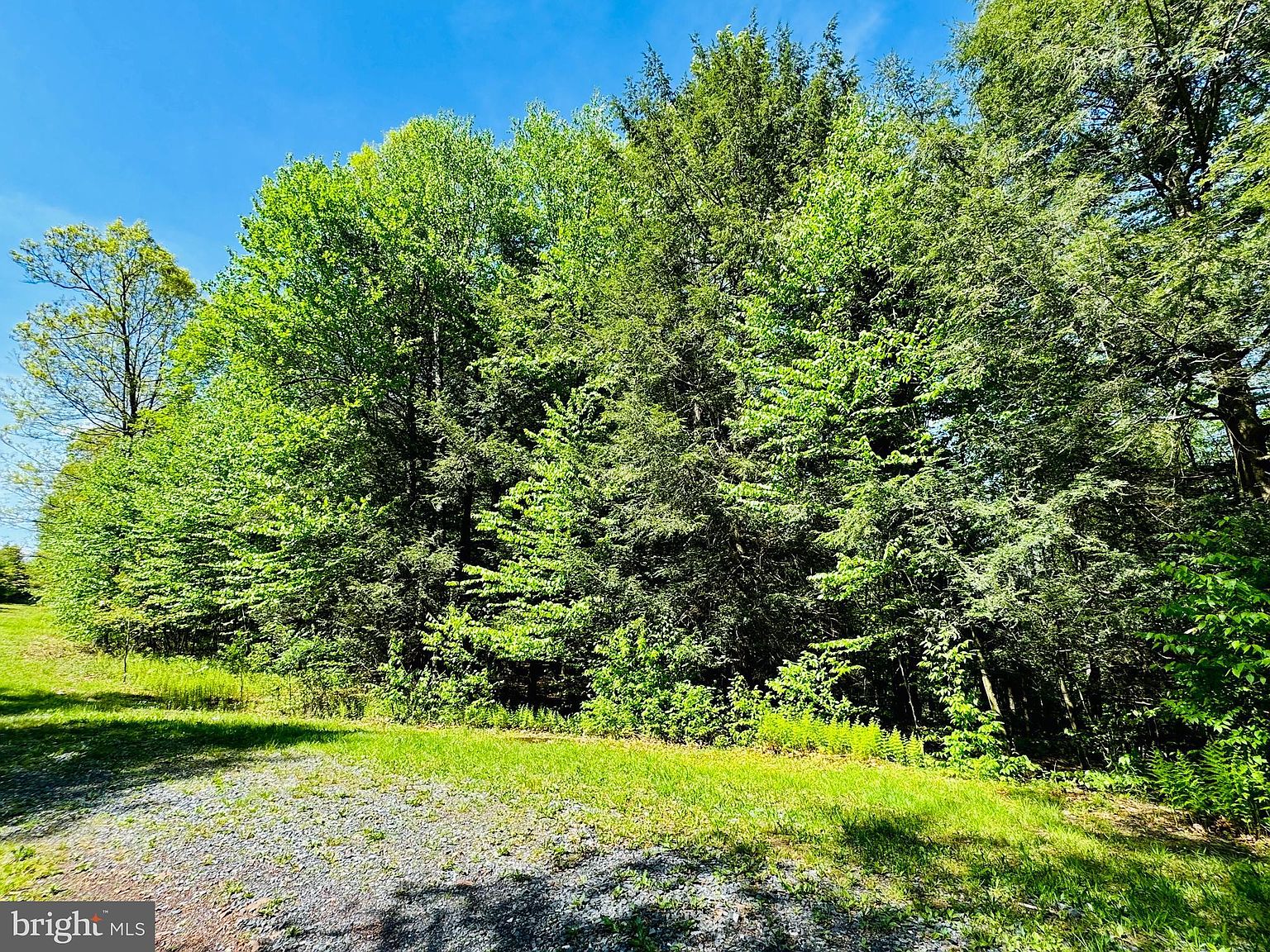 LOT 10 Paradise Rd, James Creek, PA 16657 MLS PAHU2022566 Zillow