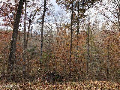 Lots1&2 Harbor Ln, La Follette, TN, 37766