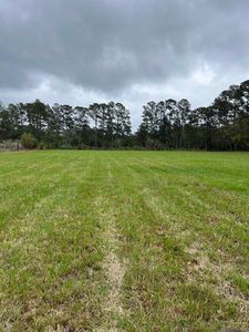 Pete Miller Rd, Livingston, LA, 70754