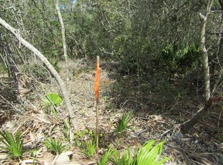 Riverview Rd, Fanning springs, FL 32693