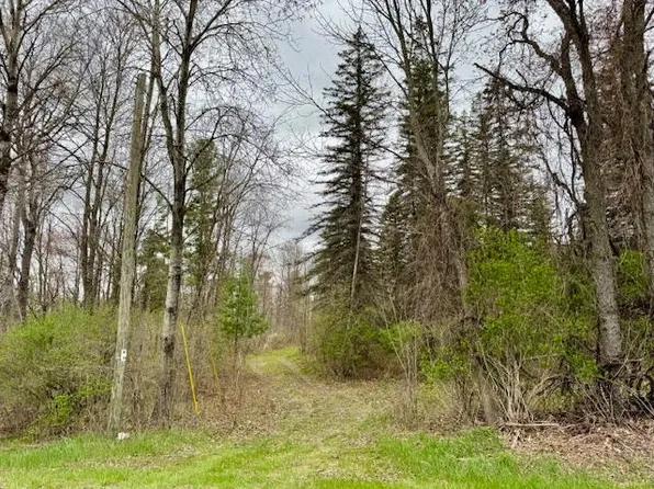 13/160th Ave, Hersey, MI 49639